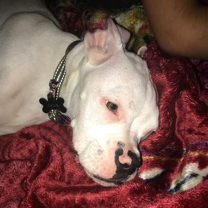 Meet your Posher, Yoana